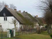 Stolpe: Bauernhuser im Haffland von Usedom.