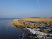 Am "Steinort": Halbinsel Cosim am Achterwasser.