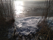 Eisschollen: Tauwetter und Wind am Achterwasser.