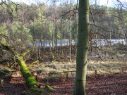 Nicht weit vom Ostseestrand: Der Mmmelkensee.