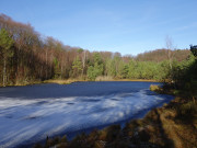 Eisschicht: Waldsee zwischen ckeritz und Bansin.