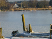 Wohnhuser am Usedomer See: Am Stadthafen von Usedom.