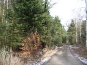 "Altes Grenzgestell": Waldweg am Haltepunkt Schmollensee.