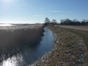 Am Achterwasser: Deichlandschaft bei Grssow.