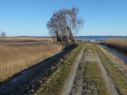 Grssow auf dem Lieper Winkel: Kleiner Fischerhafen am Achterwasser.