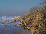 Eis auf dem Achterwasser: Ende des Strandes am Konker Berg.