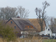 Rohrgedeckte Bauernhuser: Gummlin auf Usedom.