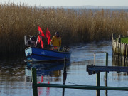 Zurckgekehrt: Fischerboot im Achterwasserhafen von Loddin.