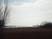 Schmalste Stelle von Usedom: Rieck und Achterwasser.