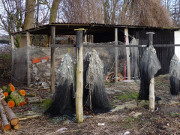 Fischernetze und Brennholz: Gothen/Ausbau am Gothensee.