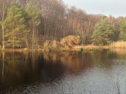 Zwischen ckeritz und Bansin: Mmmelkensee im Kstenwald.