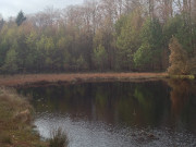 Waldsee an der Ostsee: Mmmelkensee zwischen ckeritz und Bansin.