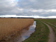 Deichweg an der Melle: Wanderung auf die Halbinsel Loddiner Hft.