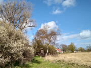 Auf dem Wolgaster Ort: Sdwestlich vom Fischerhafen.