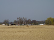 Hafen im Schilf: Seebad Loddin auf Usedom.