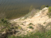 Steilkste am Peenestrom: Weier Berg auf dem Gnitz.