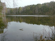 Waldsee "Schwarzes Herz": Zerninmoor im Sdosten Usedoms.