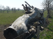 Wiesen und Weiden: Weites Land am Stettiner Haff.