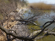 Winziger Sandstrand: Achterwasser am Loddiner Hft.