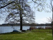 Frhlingsblten im Gras: Am Schmollensee in Stoben.