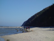 Steilkste an der Ostsee: stlich von Misdroy auf Wollin.