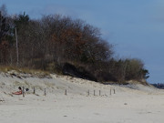 Mutig: Ein erstes Sonnenbad am Strand von Zempin.