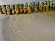 Ostseewasser und Buhnen: Impressionen von der Insel Usedom.