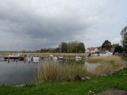 Hafen im Schilf: Usedomer Halbinsel Wolgaster Ort.