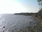 Ostkste: Steinstrand an der Greifswalder Oie.