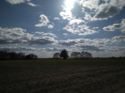 Weideland am Achterwasser: Landschaft am Seebad Loddin.