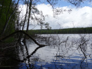 Der Wolgastsee im Hinterland der Usedomer Kaiserbder.