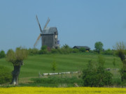 Windmhle: Hgelige Landschaft im Usedomer Hinterland.