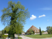 Blick zum Wasserschloss: Mellenthin im Hinterland Usedoms.