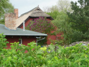 Auf der Halbinsel Gnitz: Bauernhaus in Ltow.