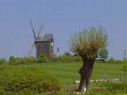 Im Hinterland der Insel Usedom: Bockwindmhle von Pudagla.