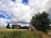 Im Usedomer Hinterland: Roggenfelder bei Stoben.