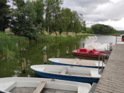 Mit dem Ruderboot über den Kölpinsee: Urlaub auf Usedom.