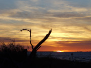 Seebad Zempin auf Usedom: Farben des Sonnenuntergangs.