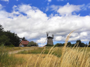 Hollnderwindmhle: Auf dem Benzer Mhlenberg.