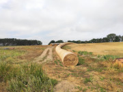 "Riesenschlange": Heuballen liegen in einer Reihe.