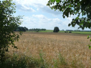 Halbinsel Lieper Winkel: Einsame Landschaft am Achterwasser.