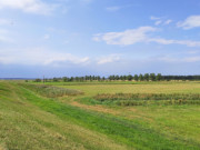 Wiesenland am Peenestrom: Zwischen Karlshagen und Peenemnde.