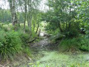 Trockenheit: Leerer Graben im Zerninmoor auf Usedom.