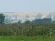 Landschaft des Usedomer Hinterlandes: Im Thurbruch.