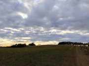 Weg auf den Hftberg: Landschaft in der Inselmitte Usedoms.