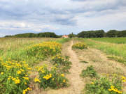 Farben des Sptsommers: Auf dem Achterwasserdeich.