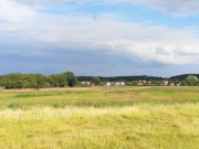 Usedom im Sptsommer: Weideland am Ostseebad Koserow.