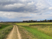 Achterwasserdeich Richtung Zempin: Wanderungen auf Usedom.