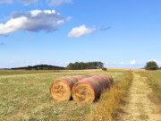 Feldweg und Heurollen: Usedomer Halbinsel Loddiner Hft.