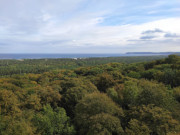 Prora und Prorer Wiek: Blick vom Baumwipfelpfad.